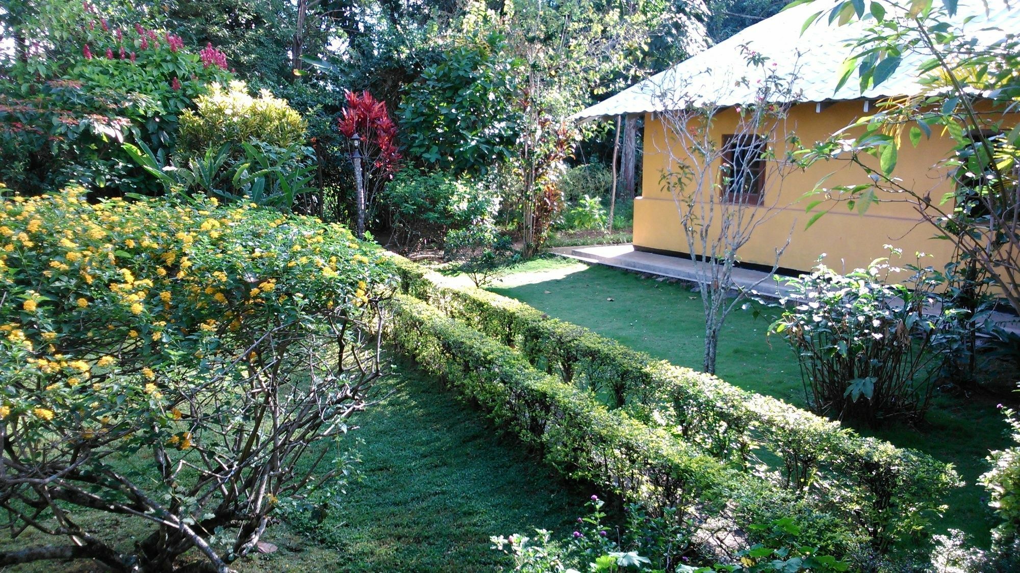 Sunnyside Holiday Bungalow Ella Kültér fotó