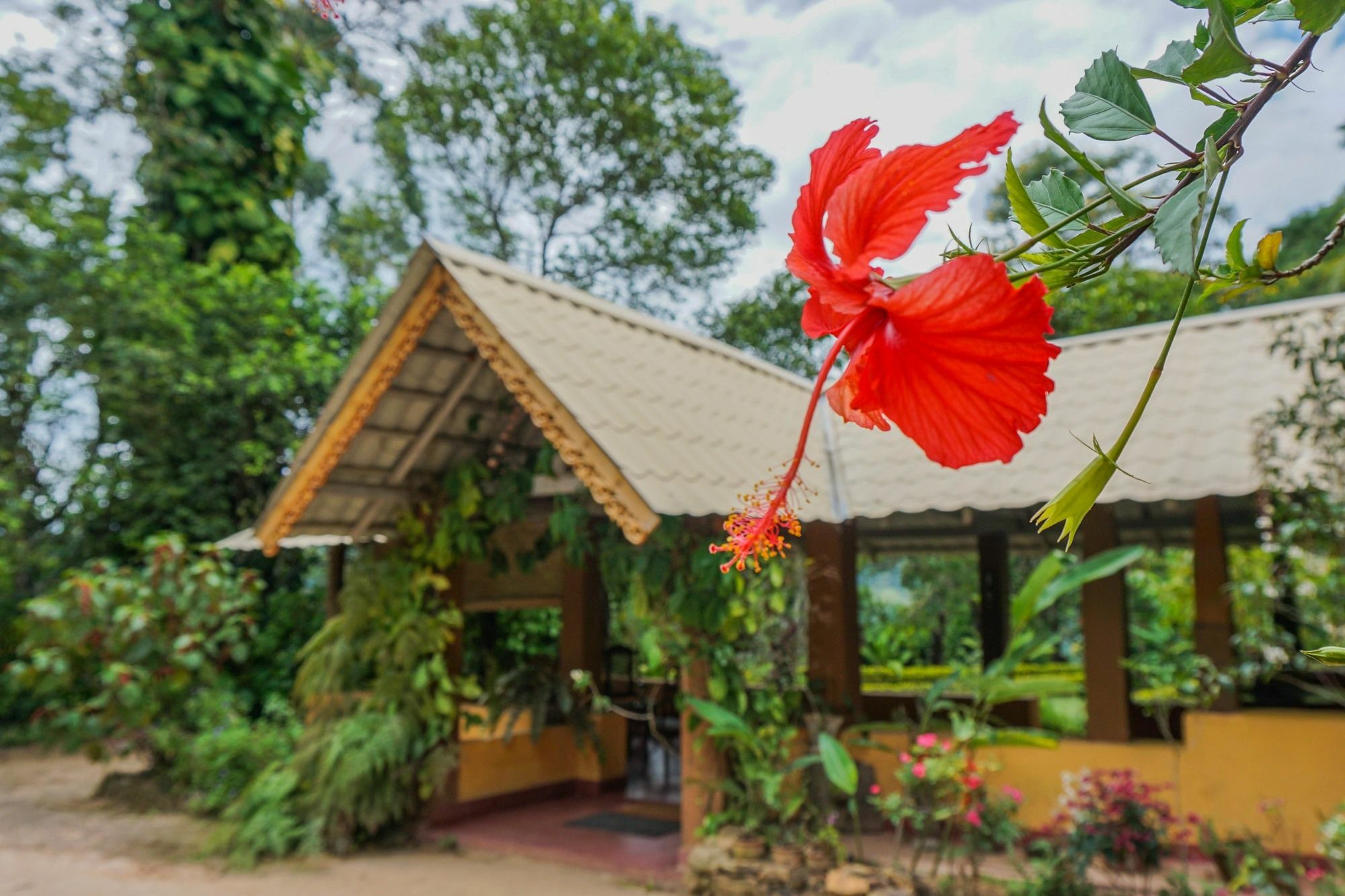 Sunnyside Holiday Bungalow Ella Kültér fotó